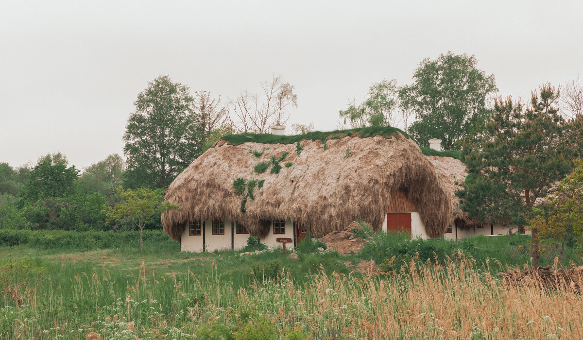 Thatch Roofed House