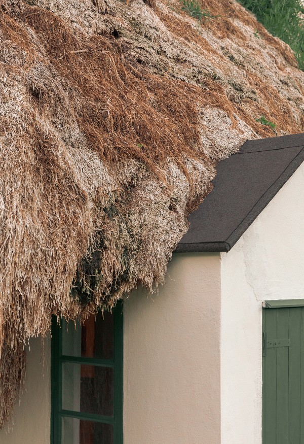 Detail of thatched roof