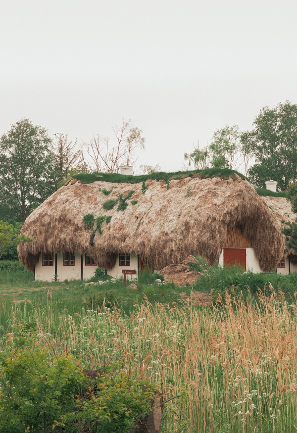 Thatched Roof in Denmark